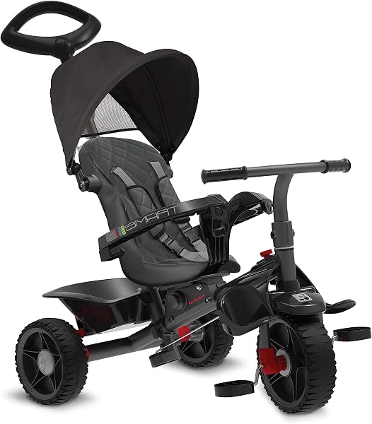 Bandeirante Triciclo Smart Reclinável — Passeio + Pedal, A Partir de 12 Meses